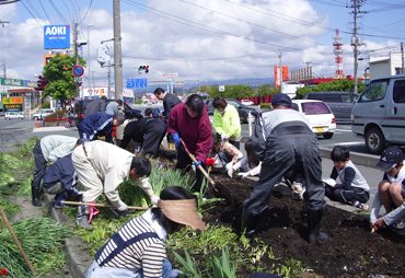 地域貢献活動　花壇の苗植え、草取り